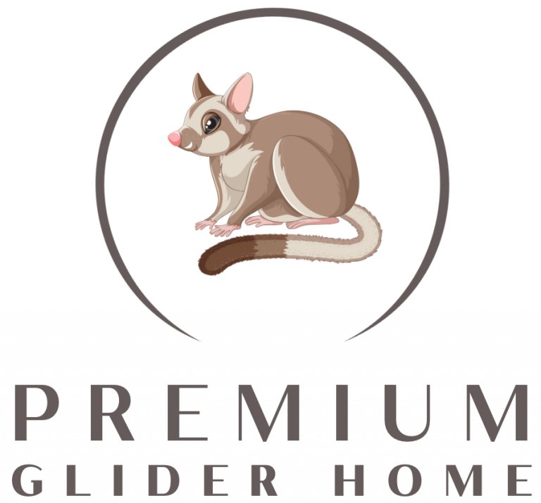 Our Top Sugar Gliders For Sale In 2023 Premium Glider Home